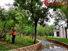 【建筑垃圾】建筑垃圾變身再生骨料，只差一臺移動破碎機！